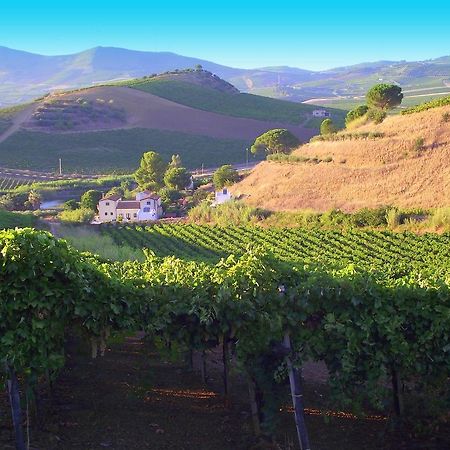 Agriturismo Tarantola Villa Alcamo Bagian luar foto