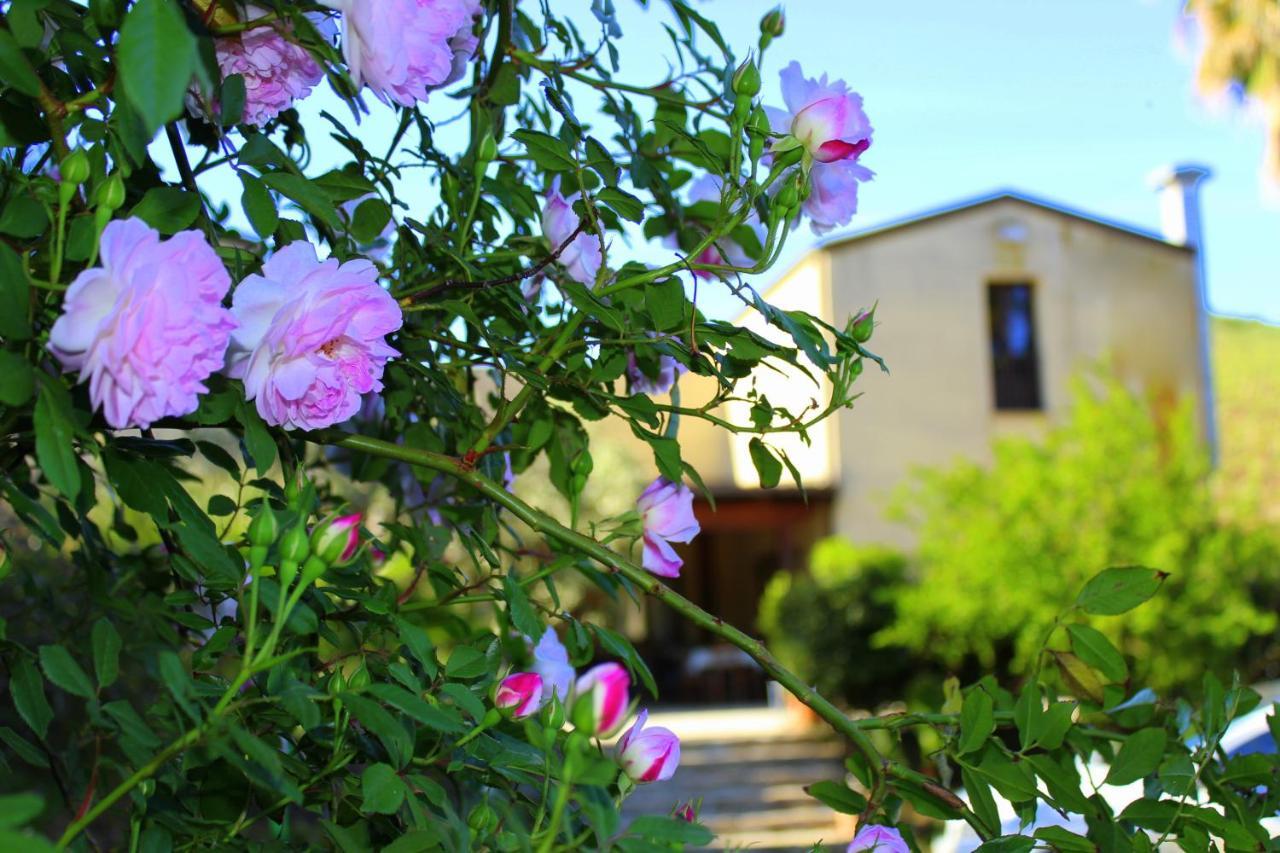 Agriturismo Tarantola Villa Alcamo Bagian luar foto