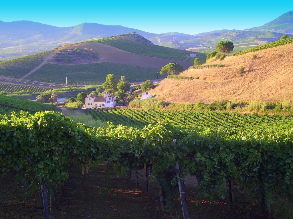 Agriturismo Tarantola Villa Alcamo Bagian luar foto